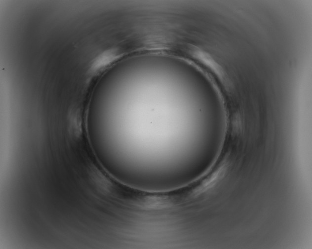 X0000088201451200705221713