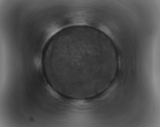 X0000088201452200705221713