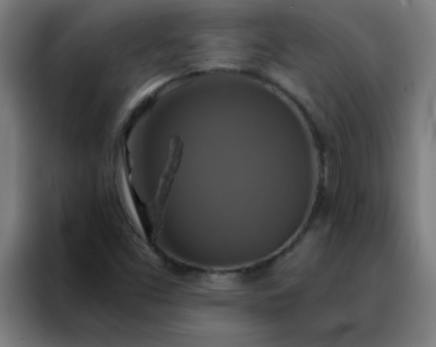 X0000088201453200705221713