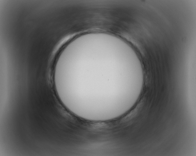X0000088201454200705221713