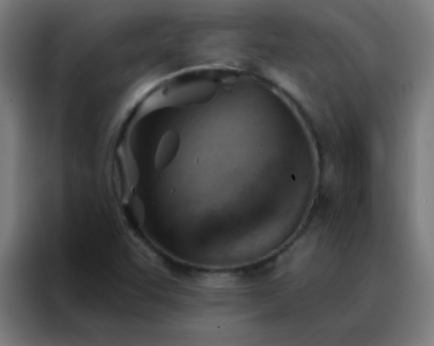 X0000088201455200705221713