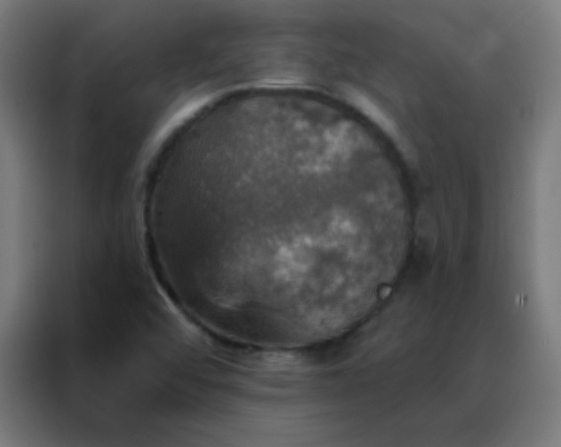 X0000088201456200705221713
