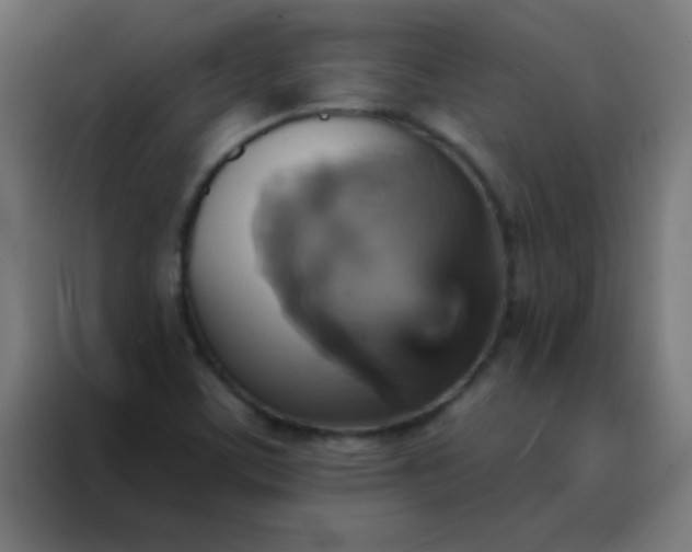 X0000088201459200705221713