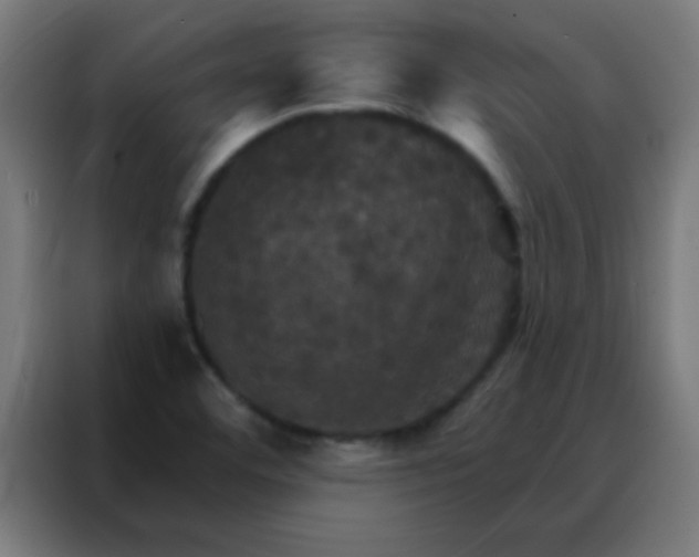 X0000088201460200705221713
