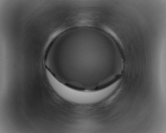 X0000088201461200705221713