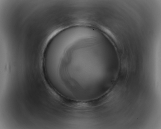 X0000088201463200705221713