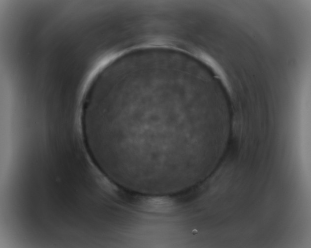 X0000088201464200705221713