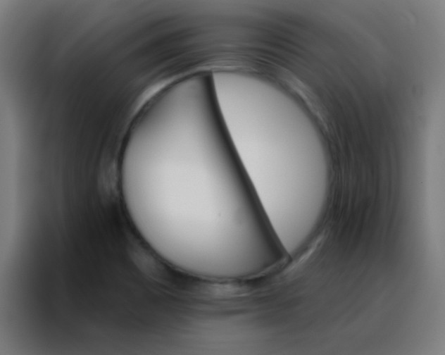 X0000088201465200705221713
