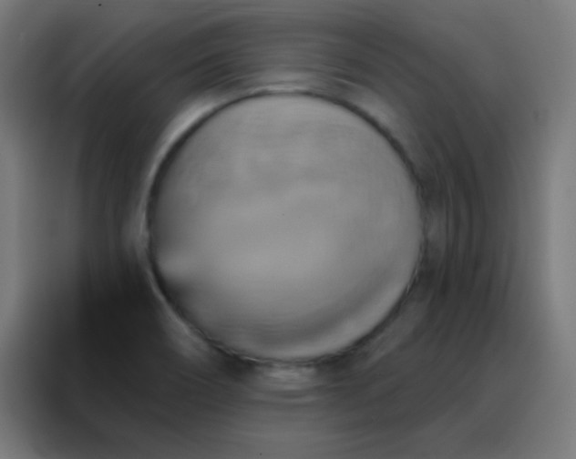 X0000088201466200705221713
