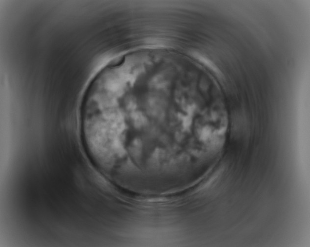 X0000088201467200705221713