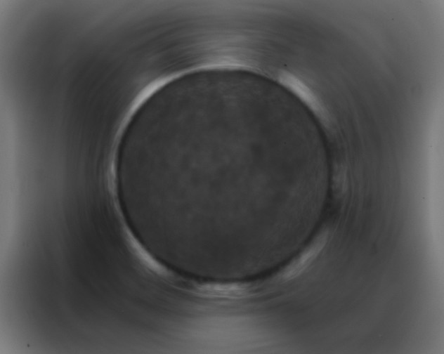 X0000088201468200705221713
