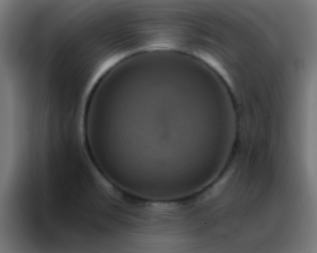 X0000088201469200705221713