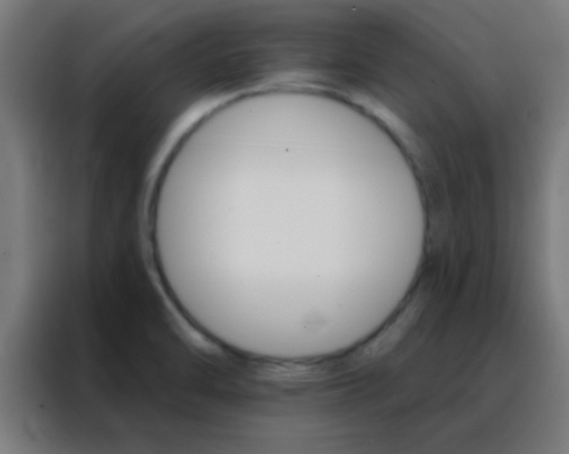 X0000088201470200705221713