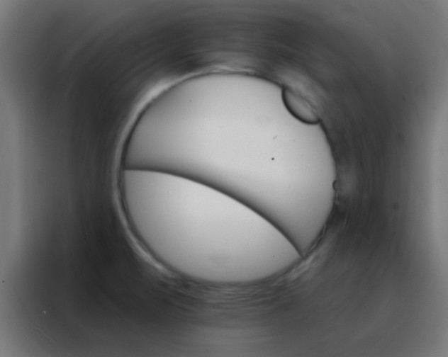 X0000088201471200705221713