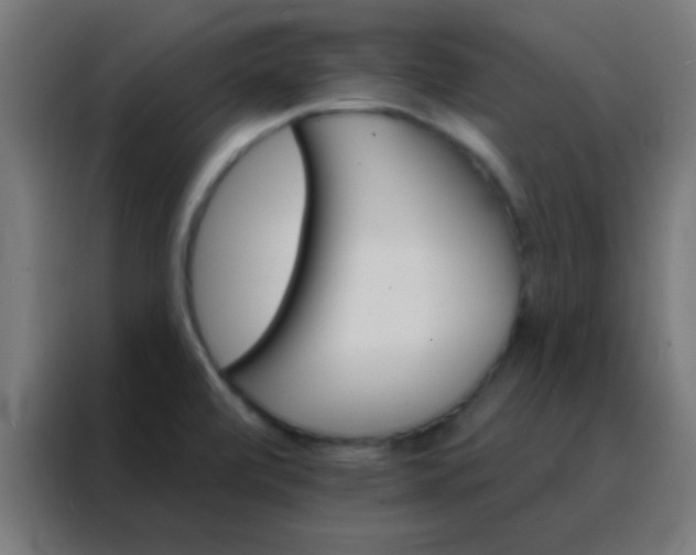 X0000088201472200705221713