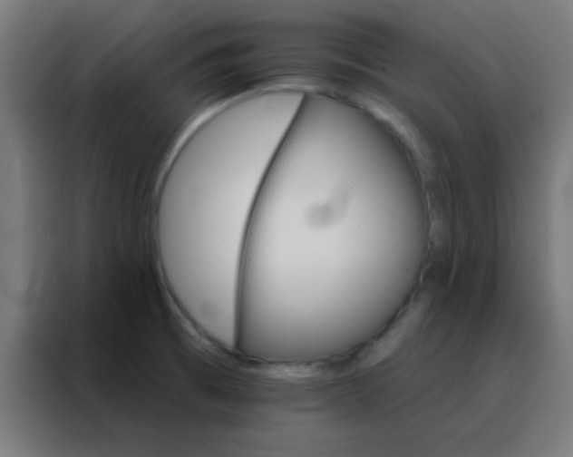 X0000088201473200705221713
