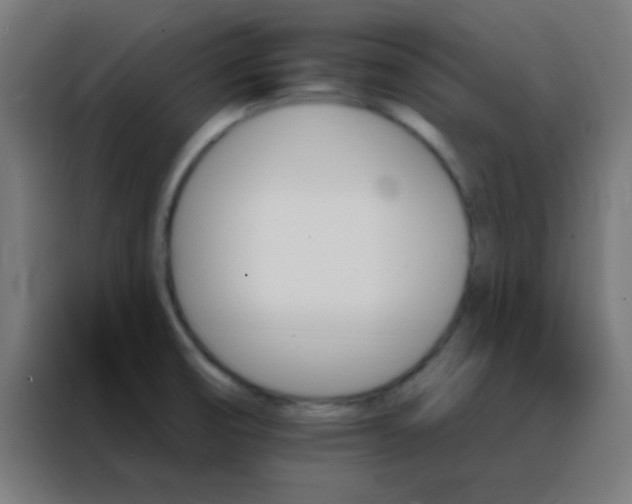 X0000088201474200705221713