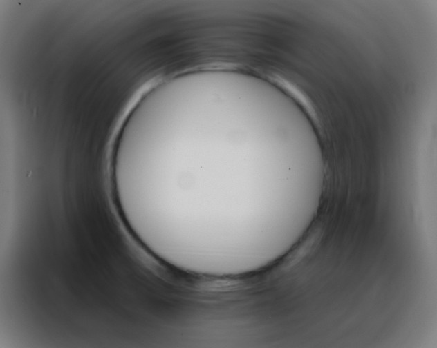 X0000088201475200705221713