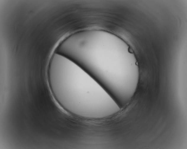 X0000088201476200705221713