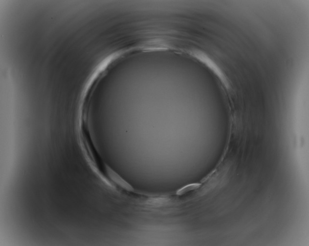 X0000088201477200705221713
