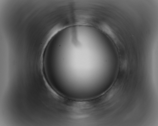 X0000088201479200705221713