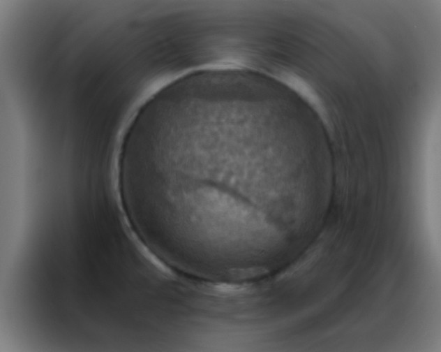 X0000088201480200705221713