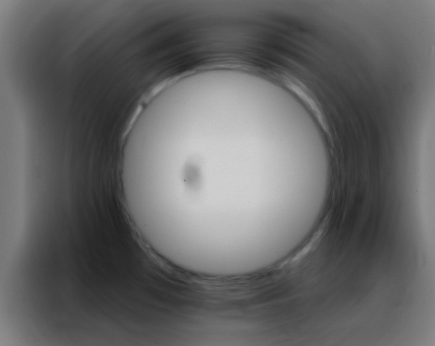 X0000088201481200705221713