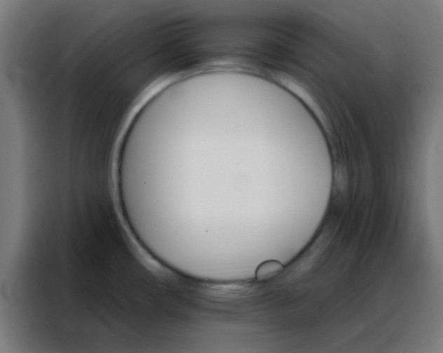 X0000088201482200705221713