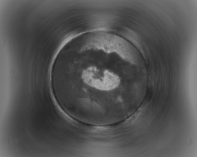 X0000088201483200705221713