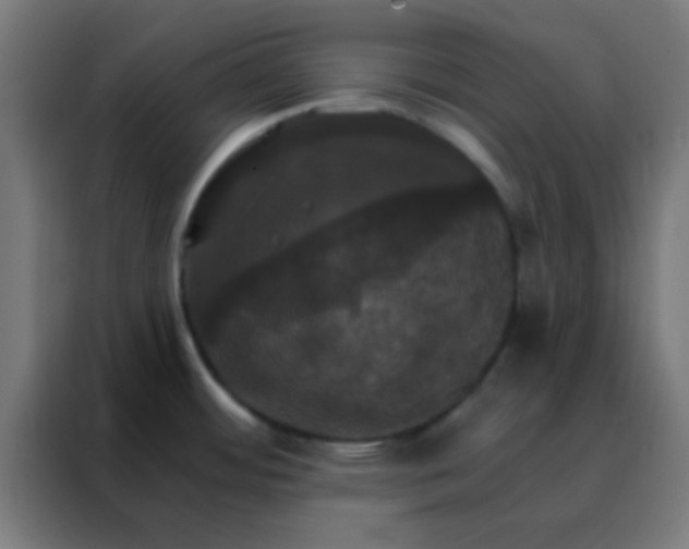X0000088201484200705221713