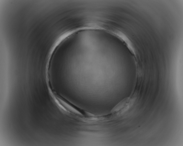 X0000088201485200705221713