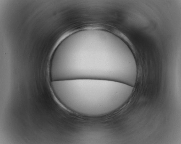 X0000088201487200705221713