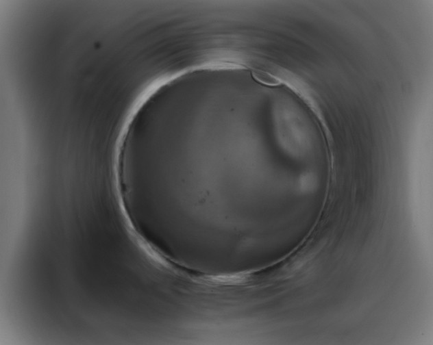 X0000088201488200705221713