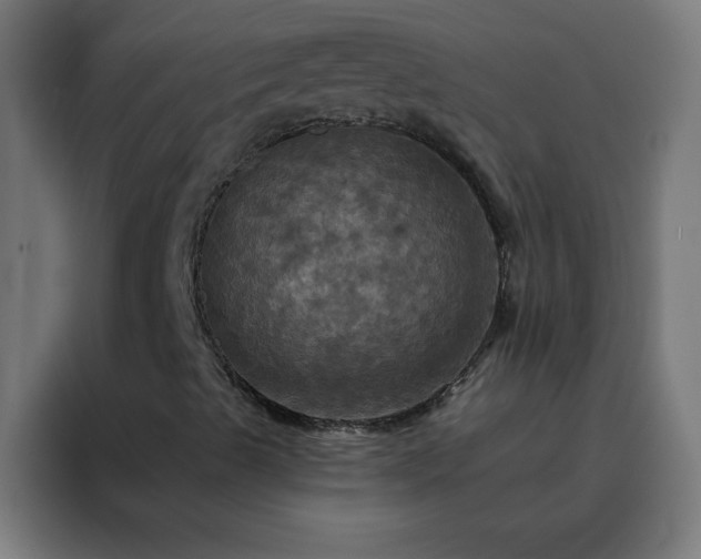 X0000088201489200705221712