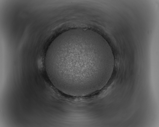 X0000088201490200705221712