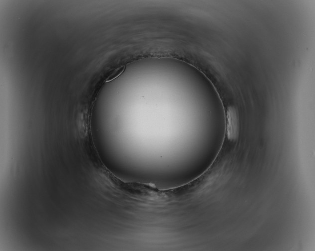 X0000088201491200705221712