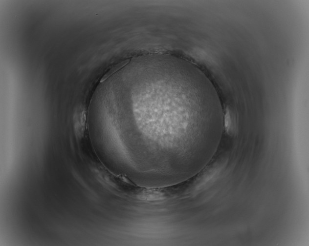X0000088201492200705221712