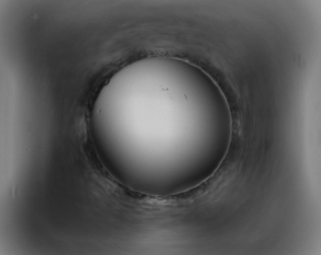 X0000088201493200705221712