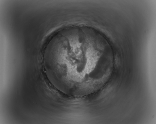 X0000088201494200705221712