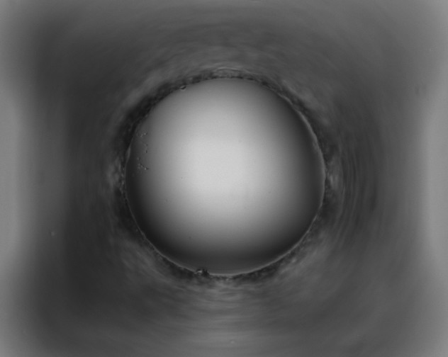 X0000088201495200705221712