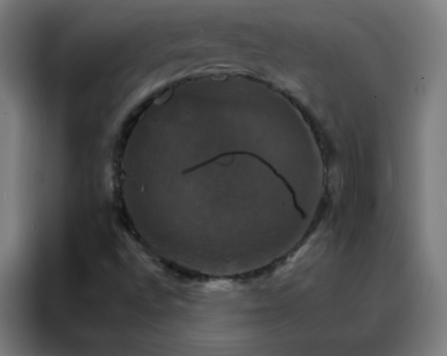 X0000088201496200705221712