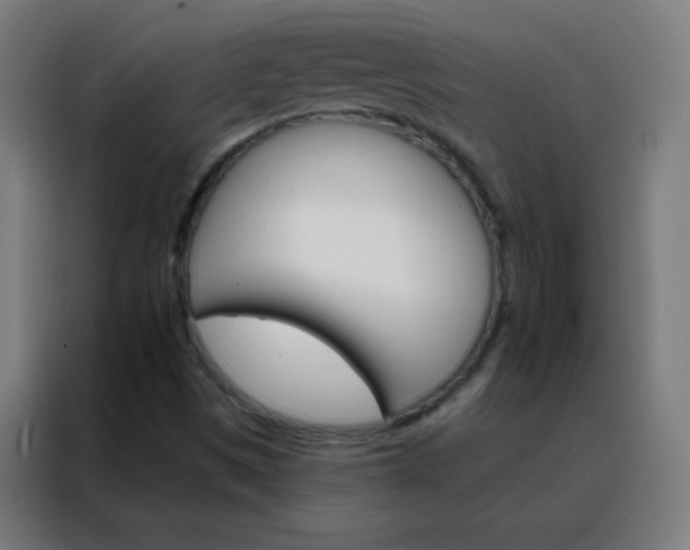 X0000088201497200705221712
