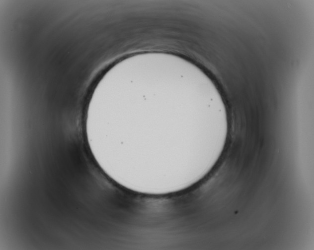 X0000088201498200705221712