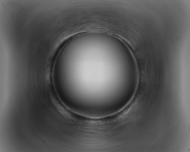 X0000088201499200705221712