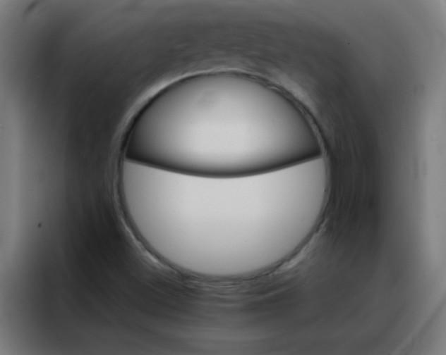 X0000088201500200705221712