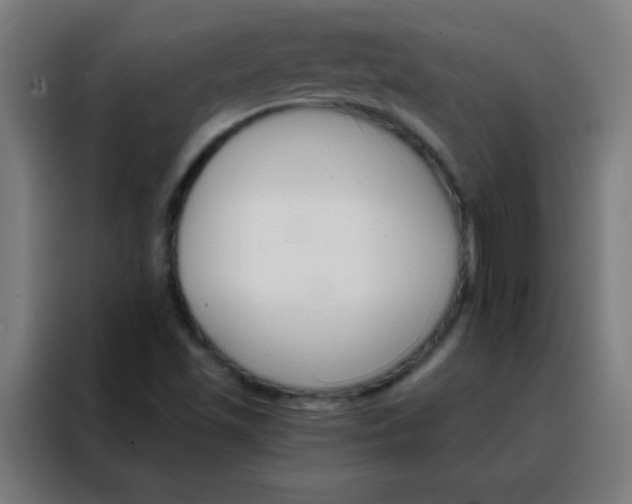 X0000088201501200705221712