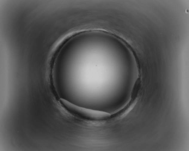 X0000088201502200705221712