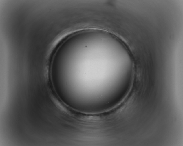 X0000088201503200705221712