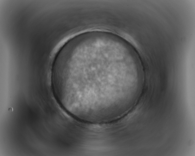 X0000088201504200705221712