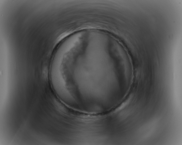 X0000088201505200705221712